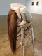 carousel chooser
